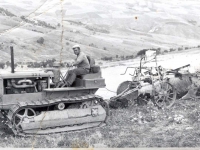 Aratura