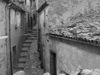 Foto 05