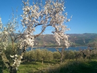 Foto 21