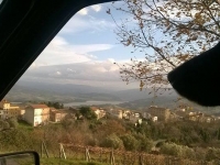 Foto 31