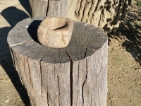 Foto 41