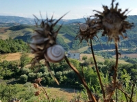 Foto 43