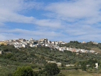 Foto 53