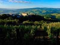 10-2 Il paese il lago i vigneti