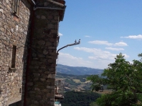 2-3 Uno spettacolo per due piccioncini