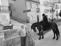 36 U burratur
