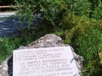 4 Saggezza nel verde