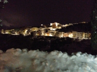 47-1 Macchia d'inverno