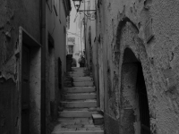 51 L'essenza