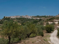 52-1 Nella natura