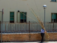 53-1 Antichi usi