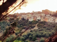 55-3 Tra luci ombre