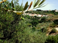 9-3 Ricchezza su bellezza