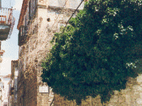 viaroma2