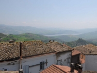 Immagine 283